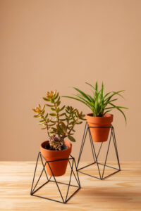 plant pot stand